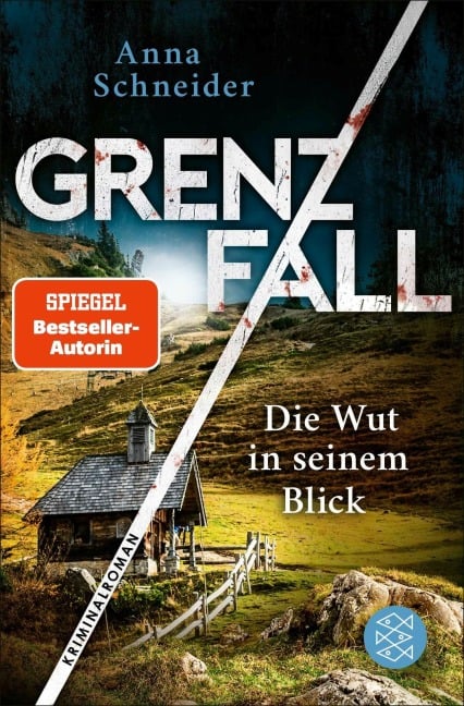 Grenzfall - Die Wut in seinem Blick - Anna Schneider
