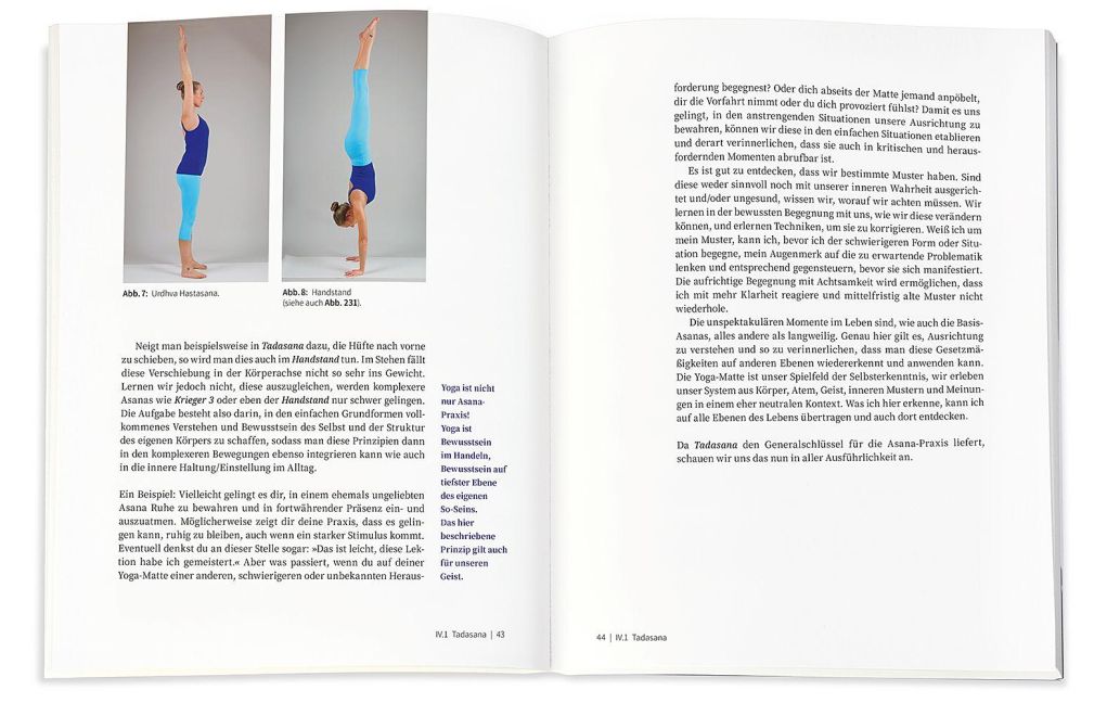 InsideView 6