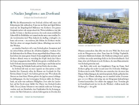 InsideView 3
