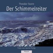 Cover-Bild zum Titel 'Der Schimmelreiter' von 'Theodor Storm'