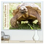 Herkules and Friends (hochwertiger Premium Wandkalender 2026 DIN A2 quer), Kunstdruck in Hochglanz - Marion Sixt