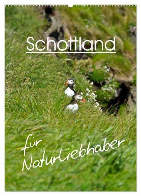 Schottland für Naturliebhaber (Wandkalender 2026 DIN A2 hoch), CALVENDO Monatskalender - Anja Schäfer