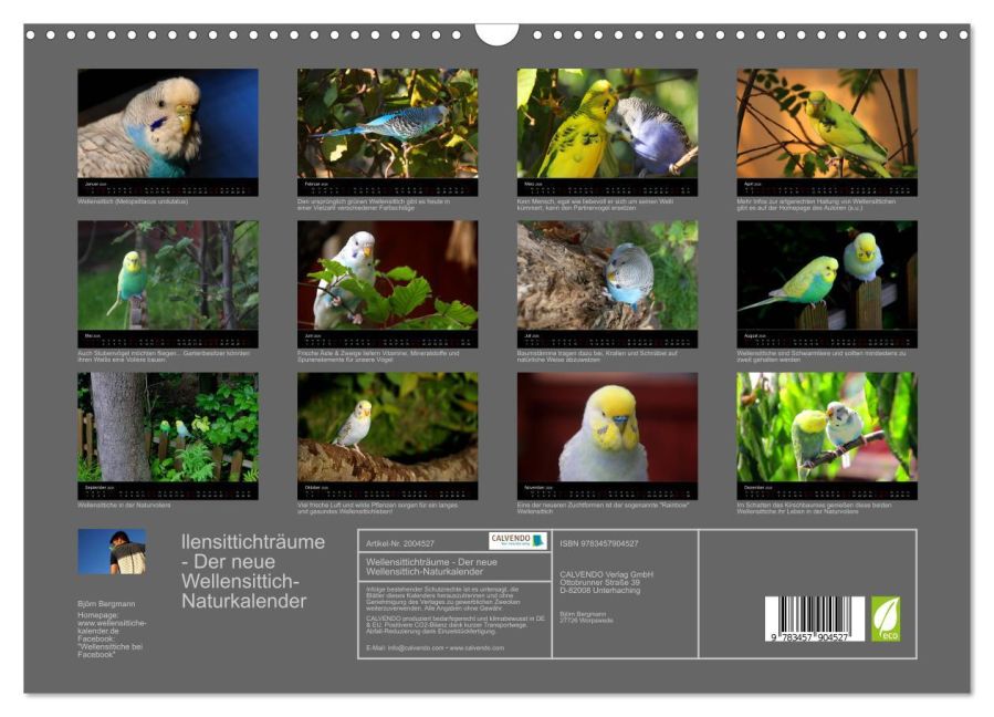 InsideView 5