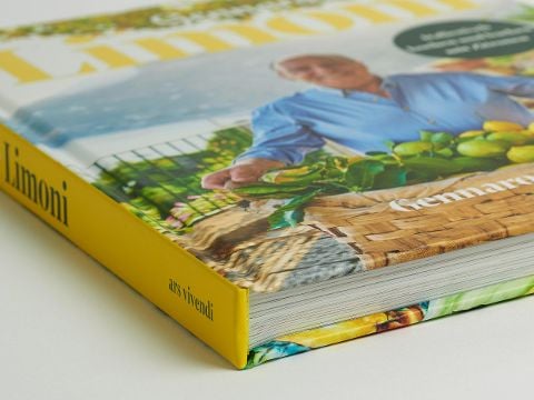 InsideView 10