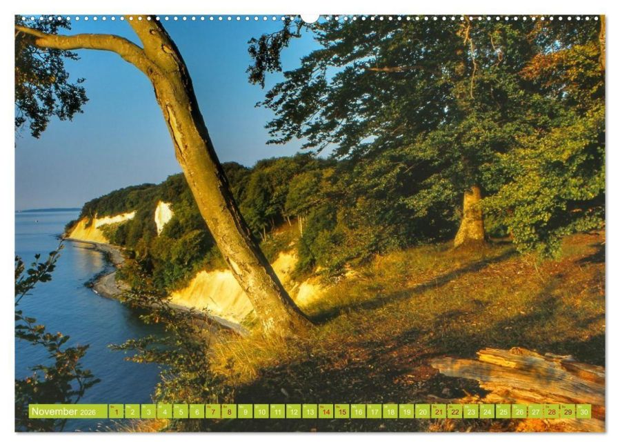 InsideView 3