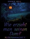 Cover-Bild zum Titel 'Wie erzieht man seinen Dom?' von 'Sookie Hell'