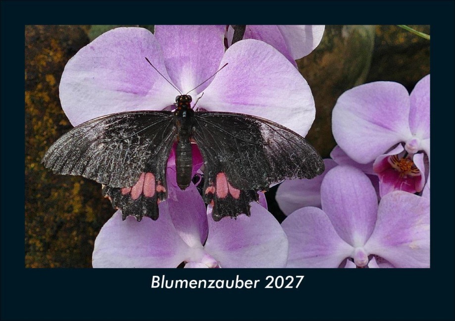Blumenzauber 2027 Fotokalender DIN A5 - Tobias Schmitt, Kevin Heber