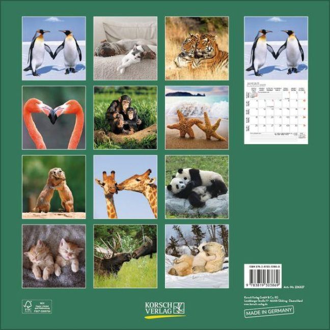 InsideView 13