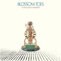 If Only For A Moment-3CD Digipack Edition - Blossom Toes