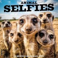 Animal Selfies 2025 12 X 12 Wall Calendar - Willow Creek Press