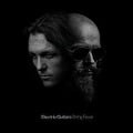 Cover-Bild zum Titel 'String Fever' von 'Electric Guitars'