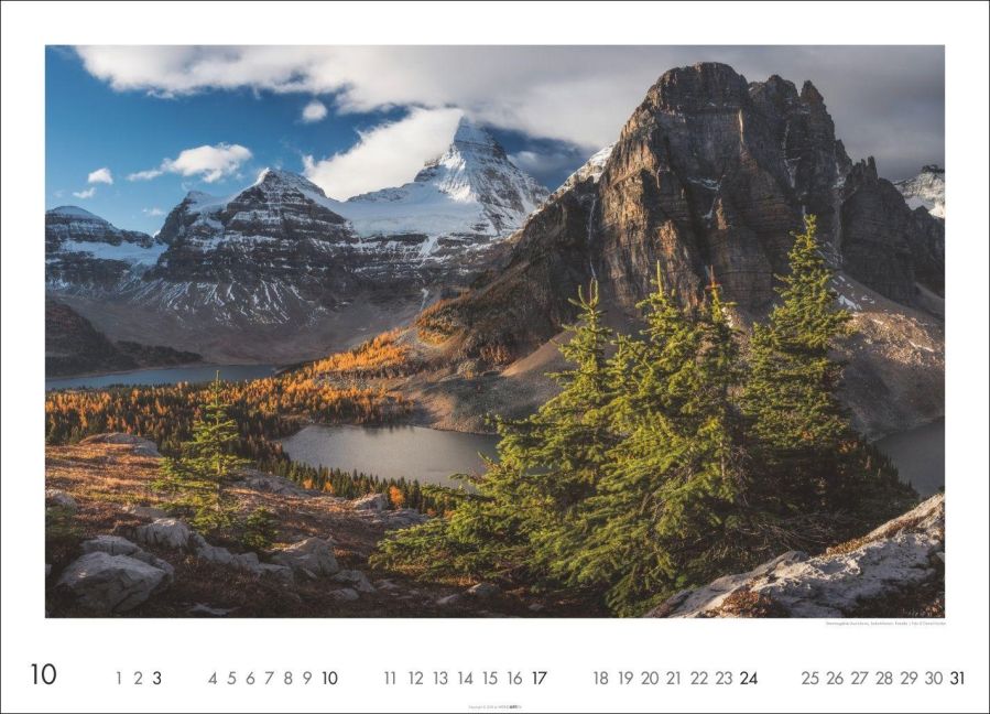 InsideView 10