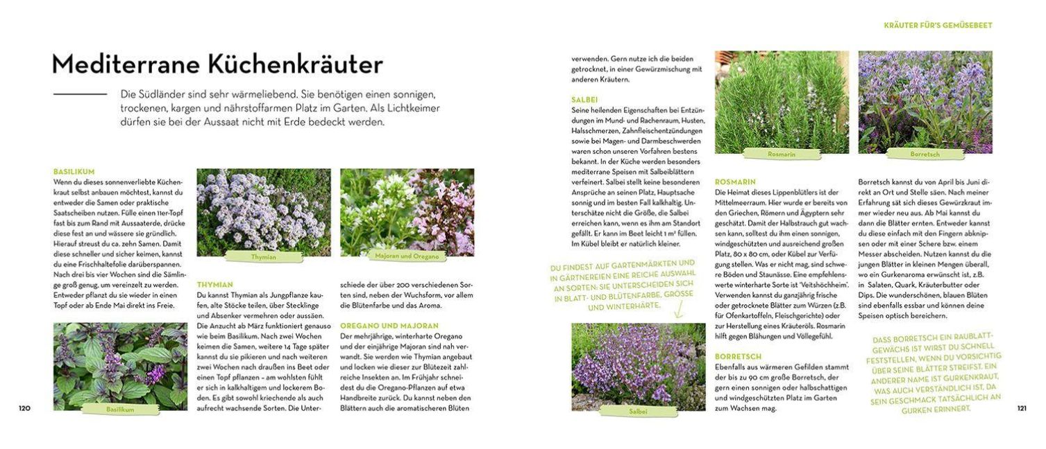 InsideView 5