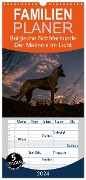 Familienplaner 2024 - Belgische Schäferhunde - Der Malinois im Licht mit 5 Spalten (Wandkalender, 21 x 45 cm) CALVENDO - Tanja Brandt