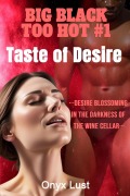 Cover-Bild zum Titel 'Taste of Desire (BIG BLACK TOO HOT, #1)' von 'Onyx Lust'