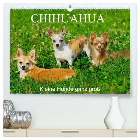 Chihuahua - Kleine Hunde ganz groß (hochwertiger Premium Wandkalender 2024 DIN A2 quer), Kunstdruck in Hochglanz - Sigrid Starick