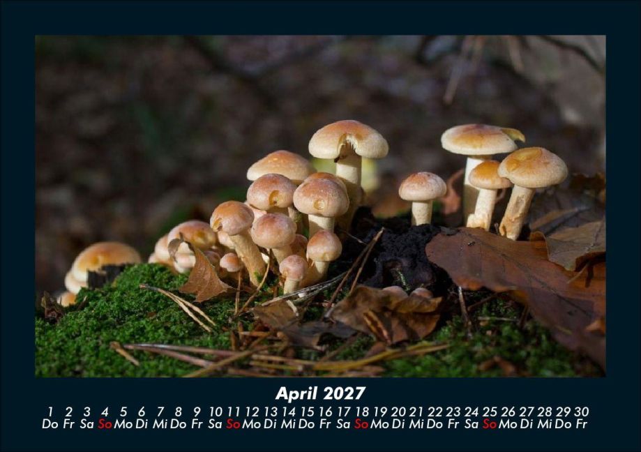 InsideView 8