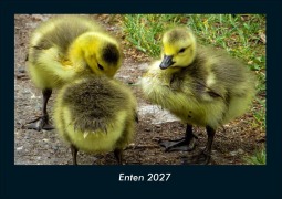 Cover-Bild zum Titel 'Enten 2027 Fotokalender DIN A4' von 'Tobias Schmitt, Kevin Heber'
