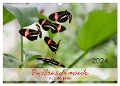 Papillons du monde, vus de près (Calendrier mural 2024 DIN A3 vertical), CALVENDO calendrier mensuel - Thomas Zeidler