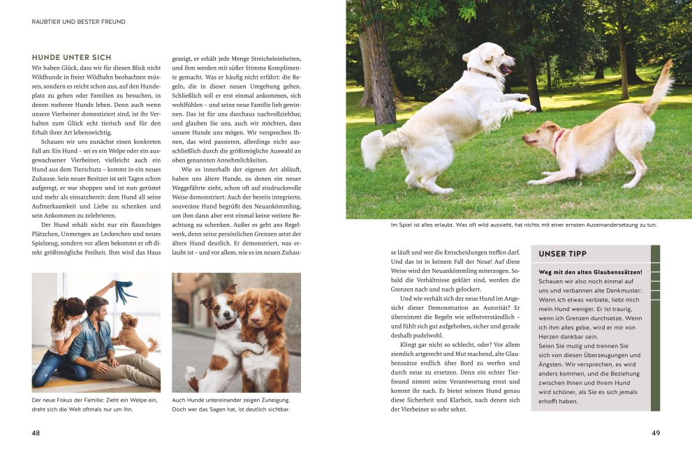 InsideView 4