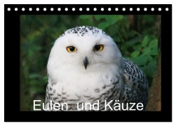 Eulen und Käuze (Tischkalender 2025 DIN A5 quer), CALVENDO Monatskalender - Four Hands Art