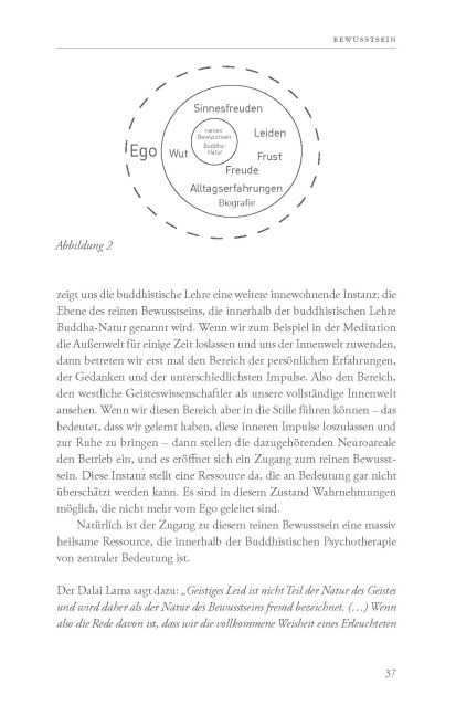 InsideView 8