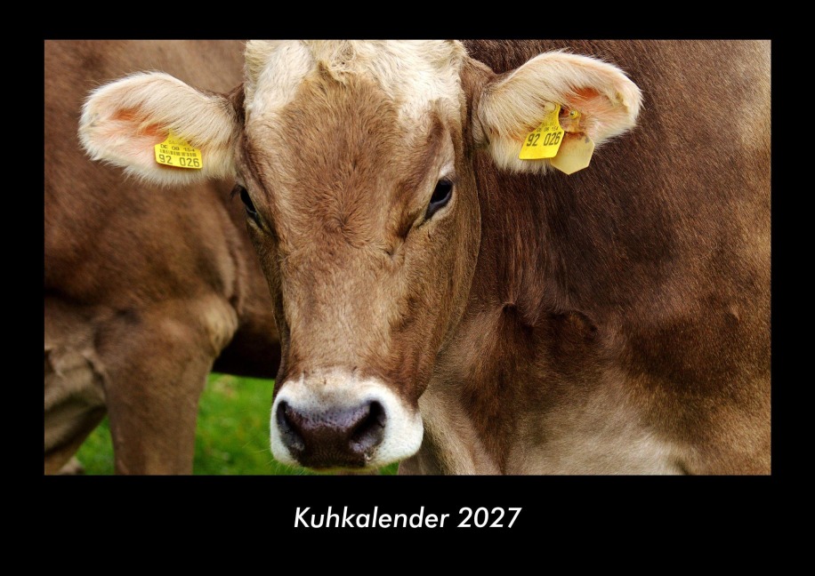 Kuhkalender 2027 Fotokalender DIN A3 - Tobias Becker