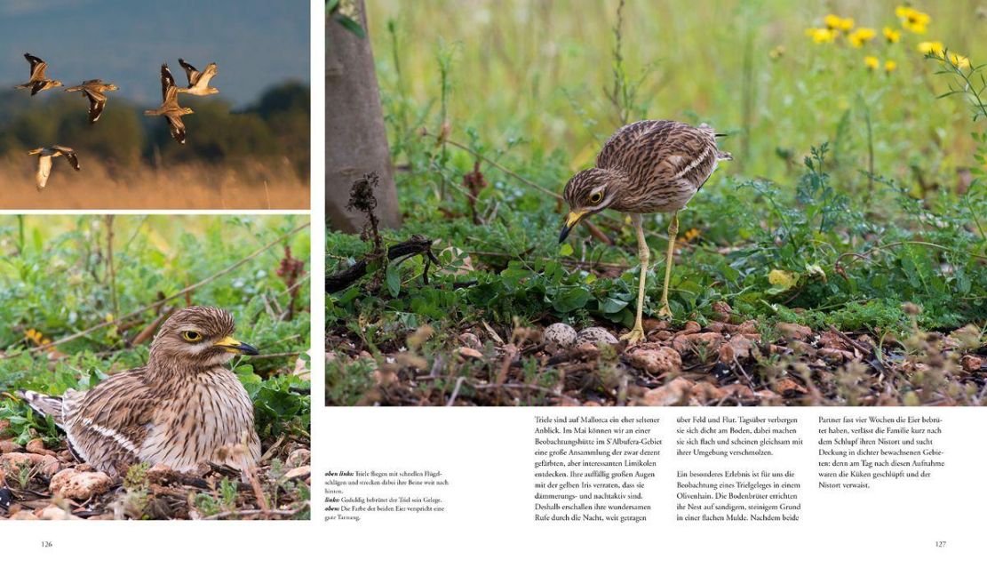 InsideView 13