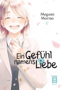 Cover-Bild zum Titel 'Ein Gefühl namens Liebe 17' von 'Megumi Morino'