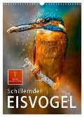 Schillernder Eisvogel (Wandkalender 2024 DIN A3 hoch), CALVENDO Monatskalender - Peter Roder
