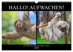 Hallo! Aufwachen! Kann bitte mal jemand das Faultier wecken? (Wandkalender 2025 DIN A3 quer), CALVENDO Monatskalender - Rose Hurley