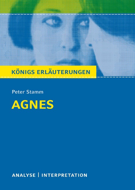 Agnes. Textanalyse und Interpretation zu Peter Stamm. Agnes - Peter Stamm