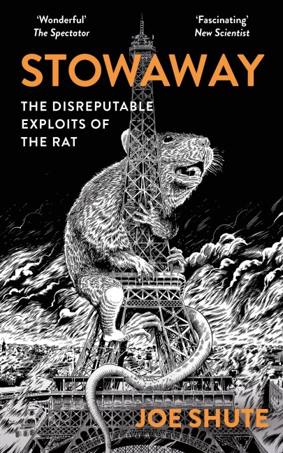 Stowaway - Joe Shute