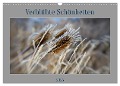 Verblühte Schönheiten (Wandkalender 2025 DIN A3 quer), CALVENDO Monatskalender - Petra Spiess