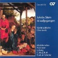 Cover-Bild zum Titel 'Jakobs Stern...,Weihnachtliche Chormusik' von 'Mädchenchor Hannover/Rutt/Schröfel'