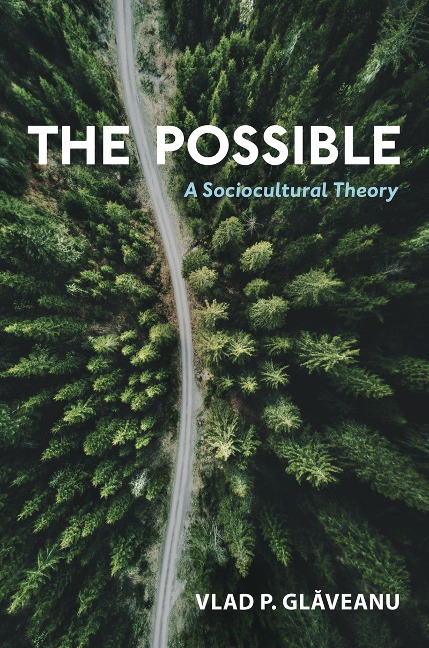 The Possible - Vlad P. Glaveanu