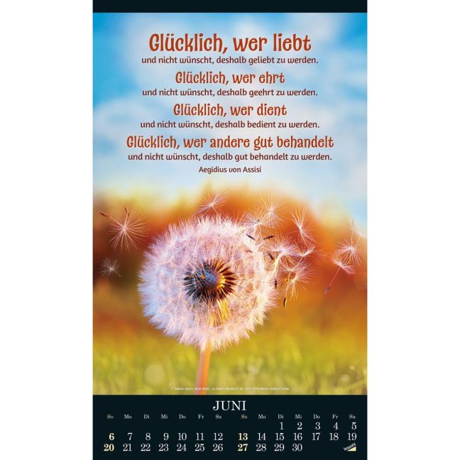 InsideView 6