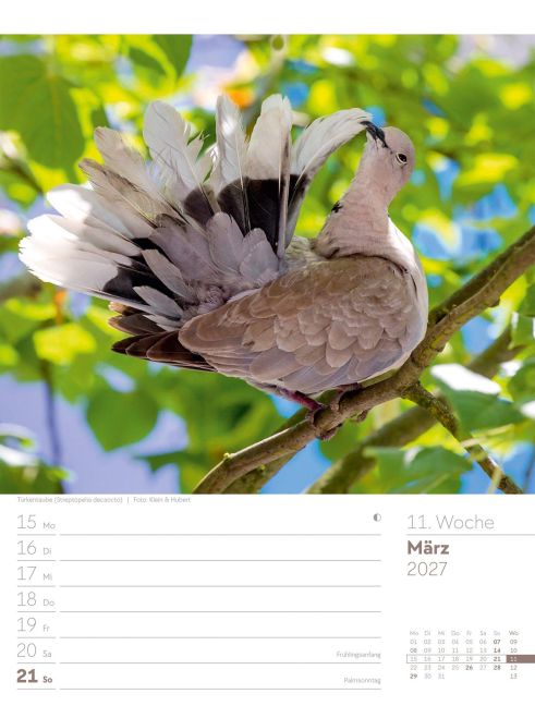 InsideView 15