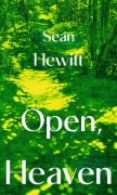 Cover-Bild zum Titel 'Open, Heaven' von 'Seán Hewitt'