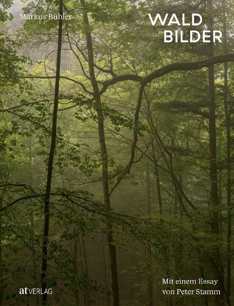 Waldbilder - Markus Bühler