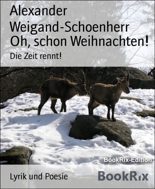 Oh, schon Weihnachten! - Alexander Weigand-Schoenherr