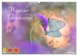 Magie der Schmetterlinge (Wandkalender 2026 DIN A2 quer), CALVENDO Monatskalender - Henrik Spranz
