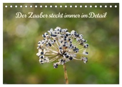 Cover-Bild zum Titel 'Der Zauber steckt immer im Detail (Tischkalender 2026 DIN A5 quer), CALVENDO Monatskalender' von 'Notburga Enzi-Bammer'