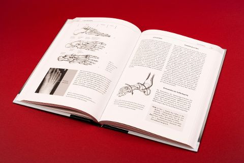 InsideView 7