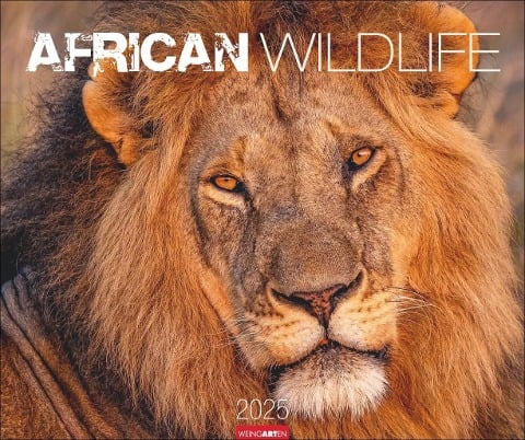 African Wildlife Kalender 2025 - 