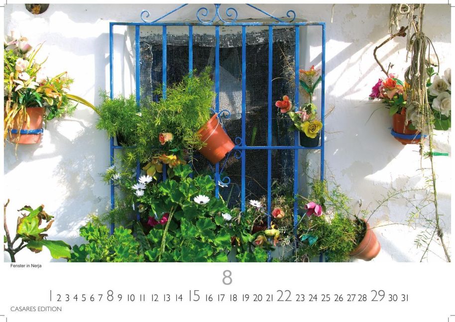 InsideView 8