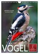 Vögel - gefiederte Freunde in unserer Natur (Wandkalender 2026 DIN A4 hoch), CALVENDO Monatskalender - Peter Roder
