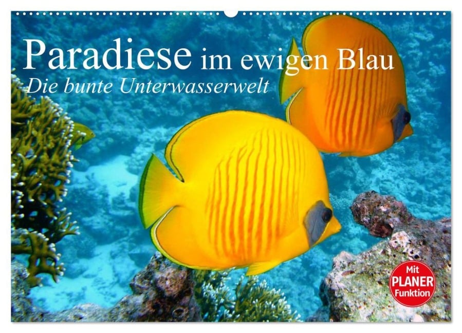 Paradiese im ewigen Blau. Die bunte Unterwasserwelt (Wandkalender 2025 DIN A2 quer), CALVENDO Monatskalender - Elisabeth Stanzer