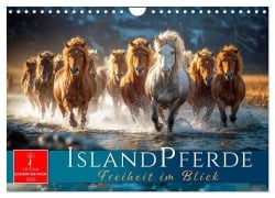 Cover-Bild zum Titel 'Islandpferde - Freiheit im Blick (Wandkalender 2026 DIN A4 quer), CALVENDO Monatskalender' von 'Roder Roder'