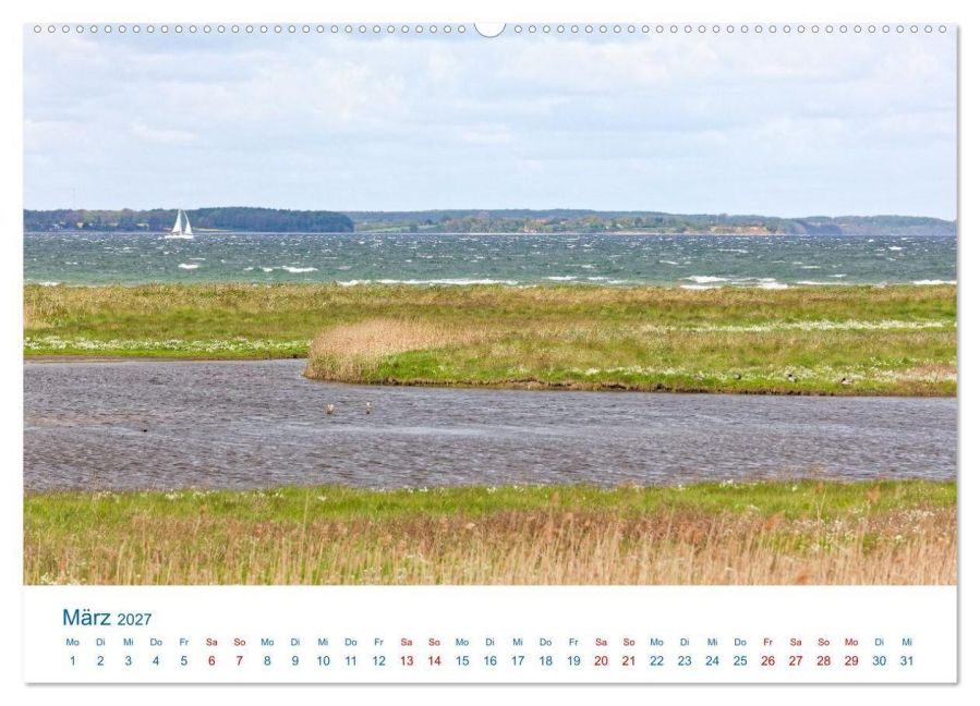 InsideView 8